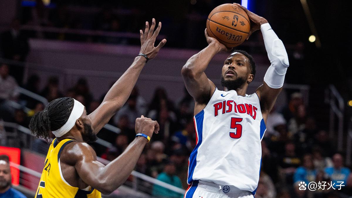 与弹跳主导 与弹跳主导